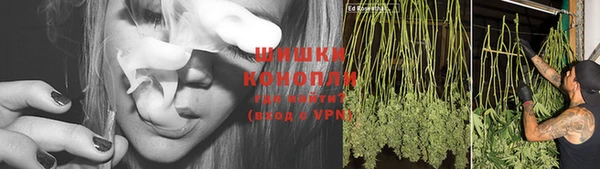дурь Заводоуковск