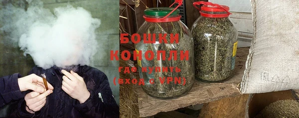 дурь Заводоуковск