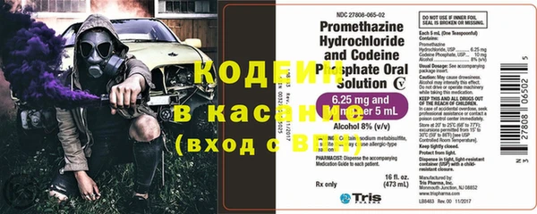 дурь Заводоуковск