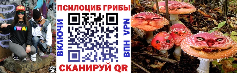 Галлюциногенные грибы Psilocybe  Купить  Могоча 